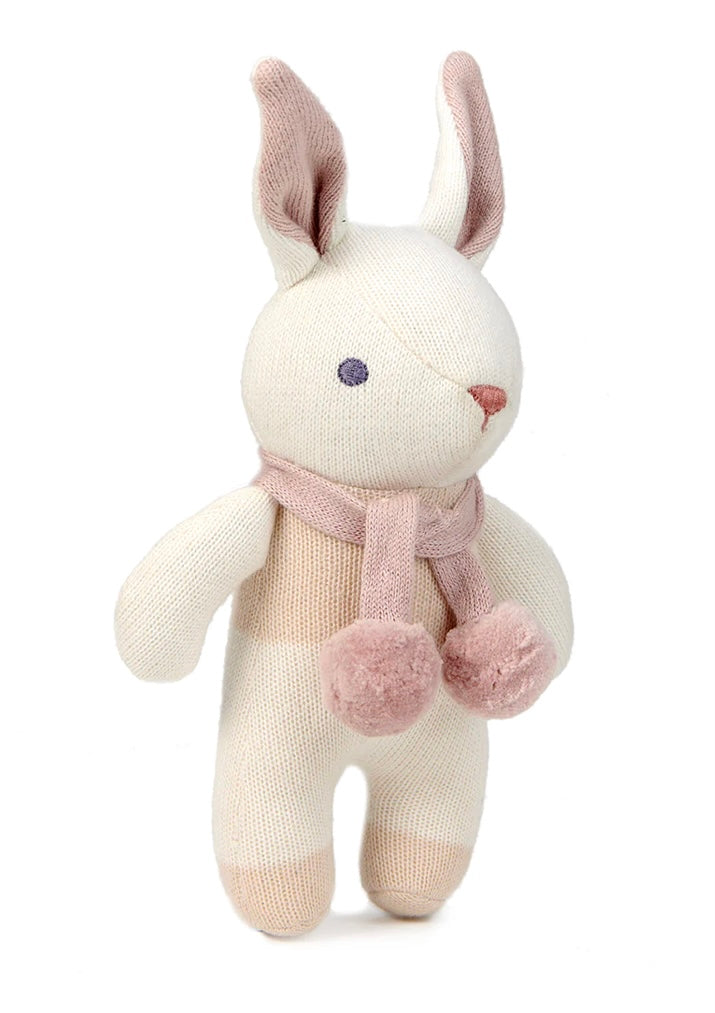 Baby Bunny Gift Set