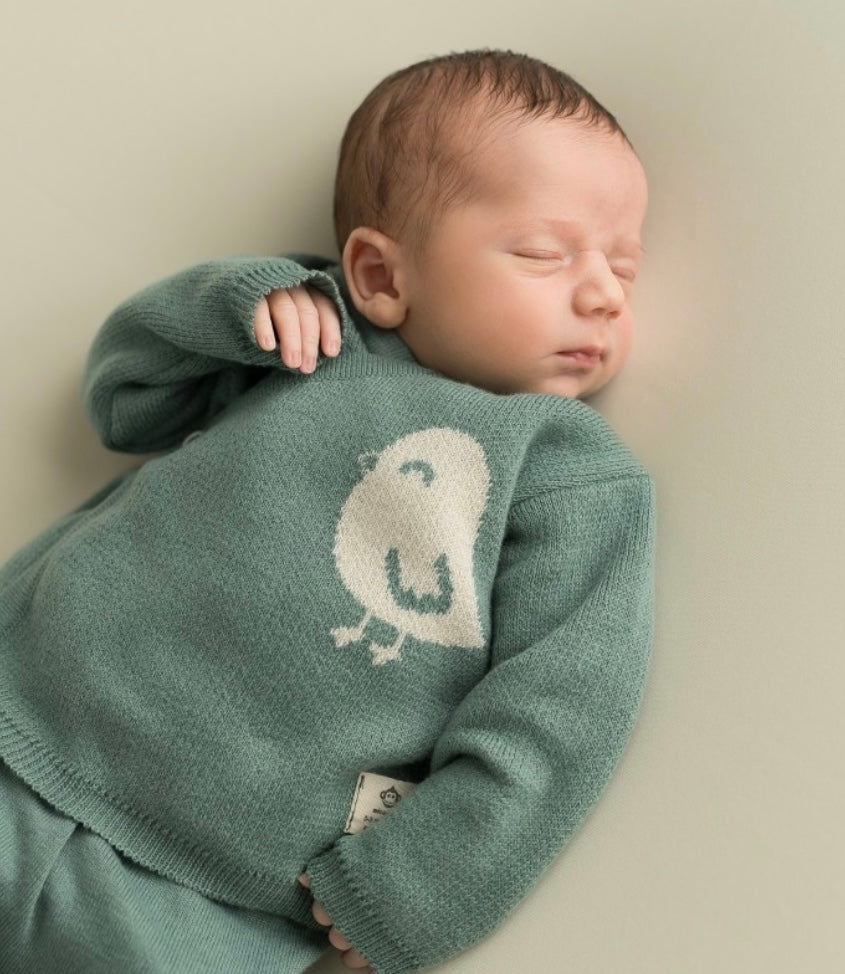 Newborn Set - Bird Jeans